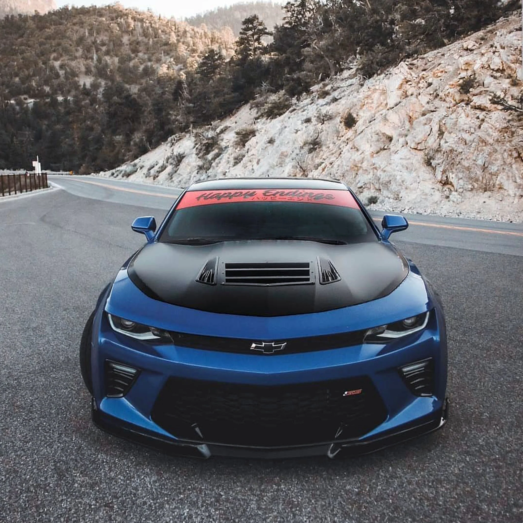 Windshield Banner - Happy And You Know It 60"  (Cut-Out Letters) - Image 5